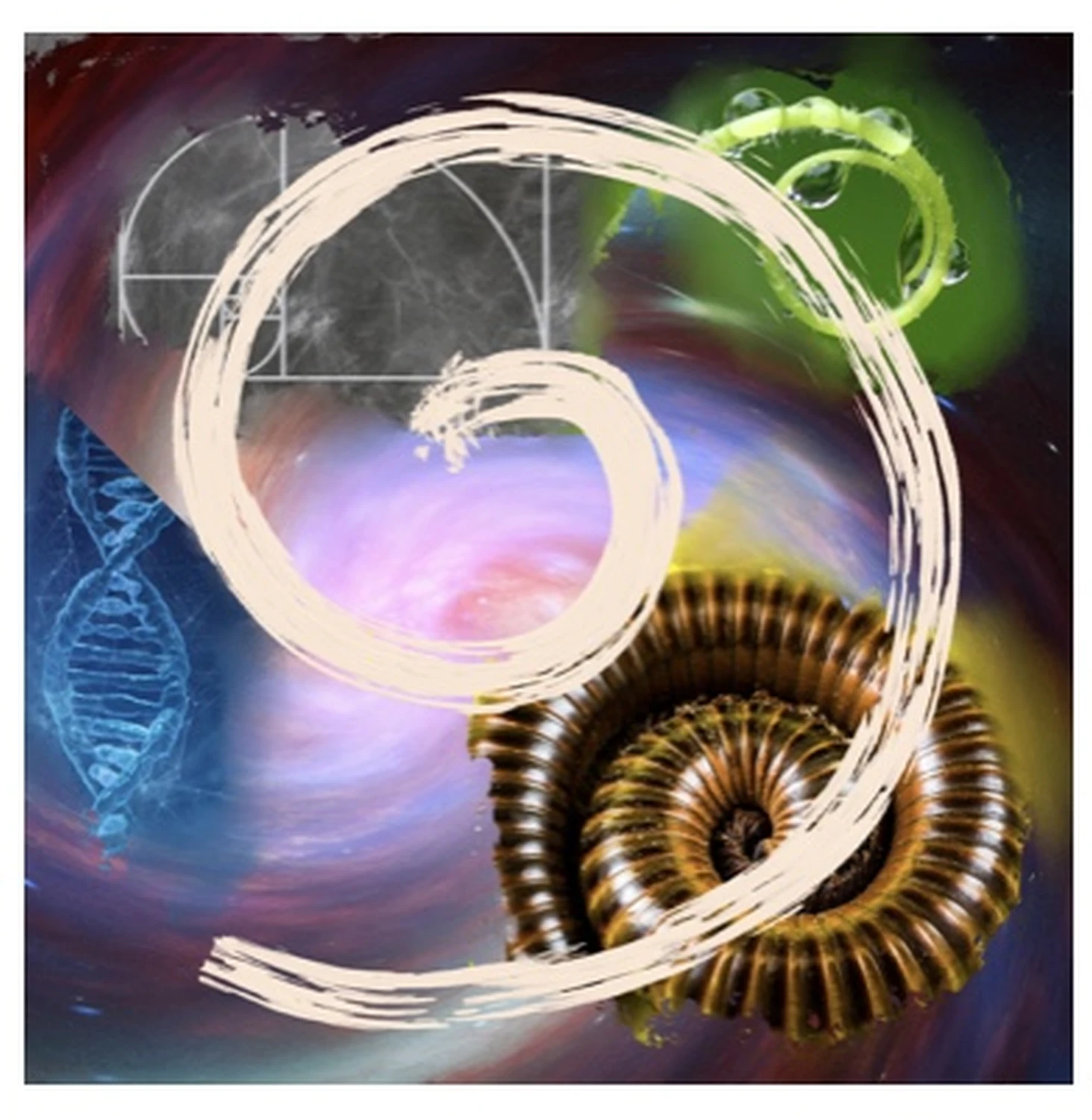 Meditation von Dr. Gudrun Hasler